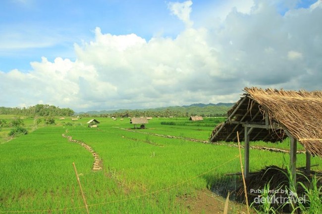 Pantai di Pacitan Ini Punya Batuan Megalitikum di Tepinya