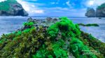 Pantai Krokoh, Terdengar Asing namun Terlihat Asri