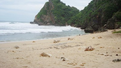 Pantai Ngobaran, Serasa Pantai Milik Sendiri