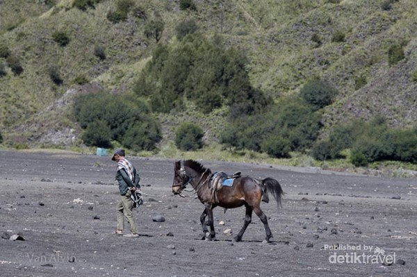 Para Joki Tangguh di Gunung  Bromo 