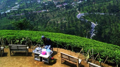 Paronama Puncak