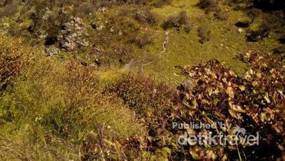 Pemandangan dari Puncak Gunung Lawu, Keren Banget!