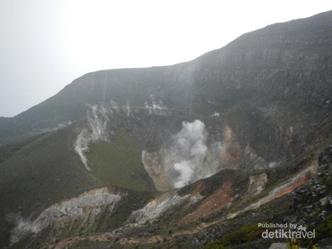 Pemandangan Indah Setelah Hujan di Puncak Gunung Gede