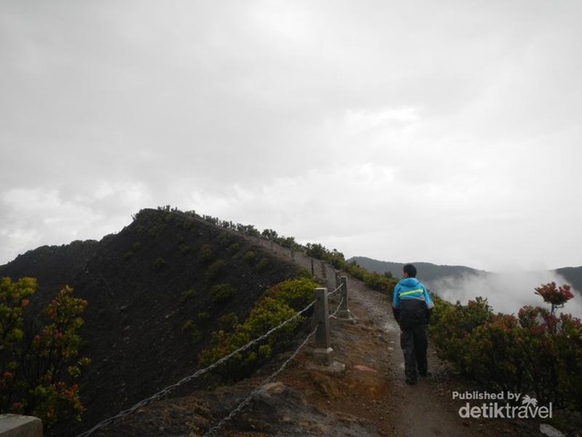 Pemandangan Indah Setelah Hujan di Puncak Gunung Gede