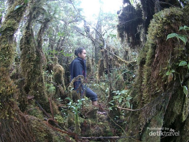 Pendakian Liar ke Atap Sumatera Utara
