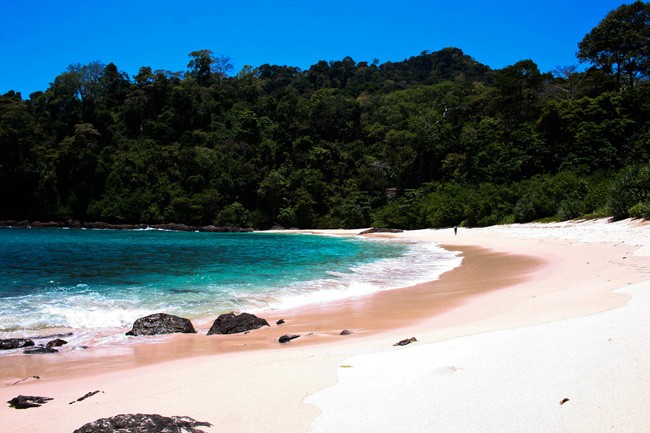 Perbedaan yang Indah dari Teluk Damai dan Teluk Hijau