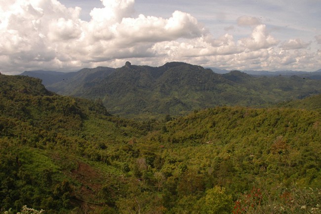 Perjalanan ke Kerinci, Bukit Barisan, Jambi