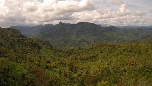 Perjalanan ke Kerinci, Bukit Barisan, Jambi
