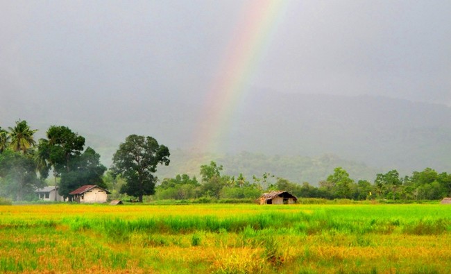 Perjalanan Maumere ke Larantuka