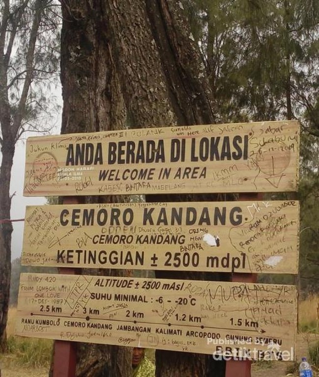 Perjalanan Mendaki Puncak Mahameru