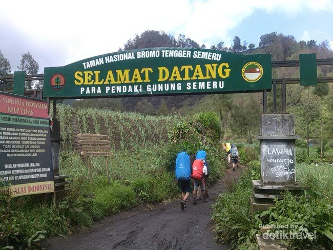 Perjalanan Singkat Menyusuri Indahnya Semeru