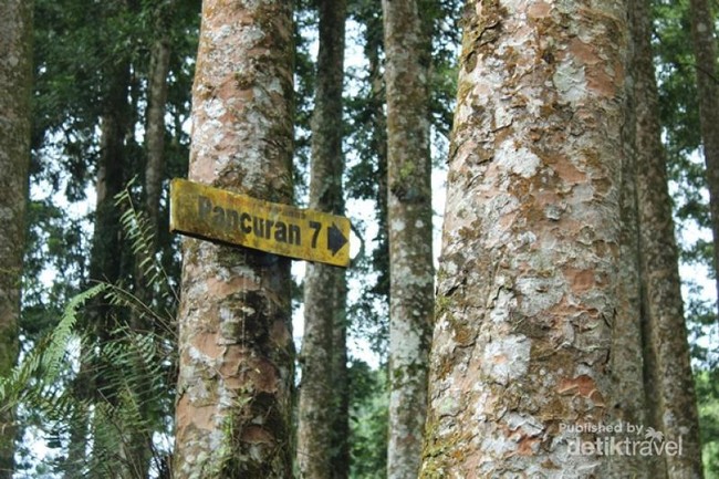 Perjuangan Mencapai Pancuran Pitu di Banyumas