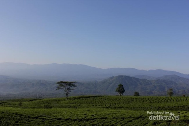 Permadani Hijau di Kaki Gunung Dempo, Sumsel