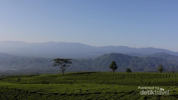 Permadani Hijau di Kaki Gunung Dempo, Sumsel