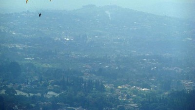 Pesona hijau hutan teh dari udara