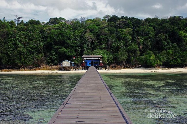 Pesona Kakaban, Danau Purba & Ubur-ubur Tanpa Sengat