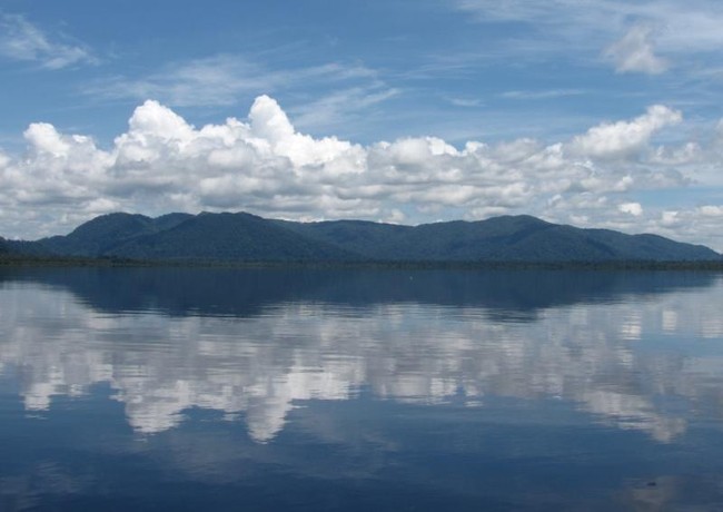 Pesona Taman Nasional Danau Sentarum