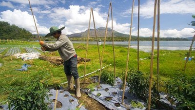 Petani di Surga Batur