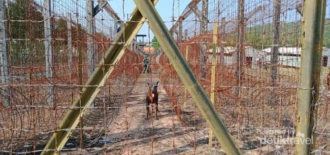 Phu Quoc, Penjara Komunis Tersadis yang Pernah Ada