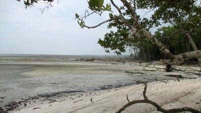 Pilihan Pantai Pasir Putih yang Cantik di Asahan