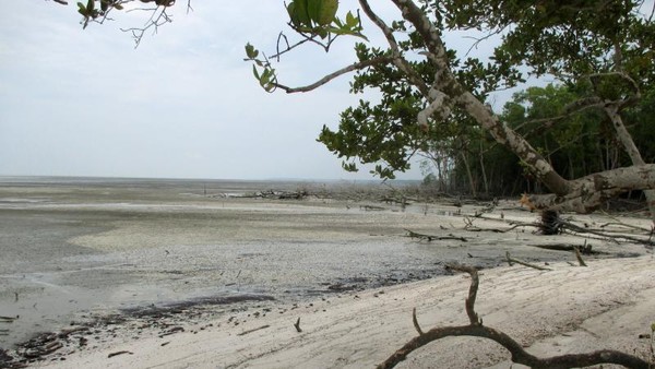 Pilihan Pantai Pasir Putih yang Cantik di Asahan
