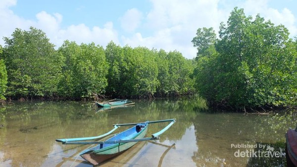 Untuk sampai di Pantai Tiga Wana, ada 2 opsi yaitu dengan berkendara menggunakan perahu atau tracking. Untuk sampai di Pantai Tiga Wana, ada 2 opsi yaitu dengan berkendara menggunakan perahu atau tracking.