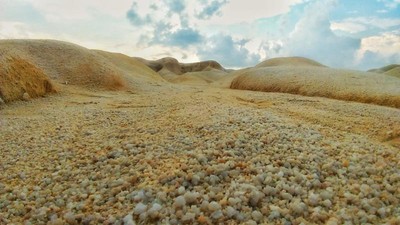Potret Gurun Pasir Ala Timur Tengah di Pulau Bintan