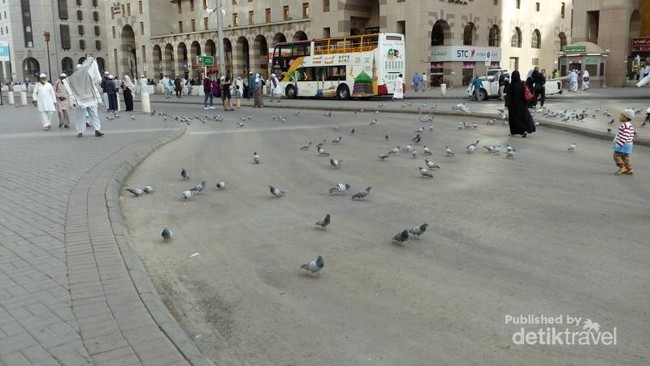 Potret Kota Madinah, Makkah, dan Gurun Hudaibiyyah