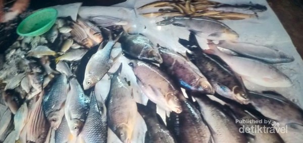 Ikan segar di pasar Pak Se.