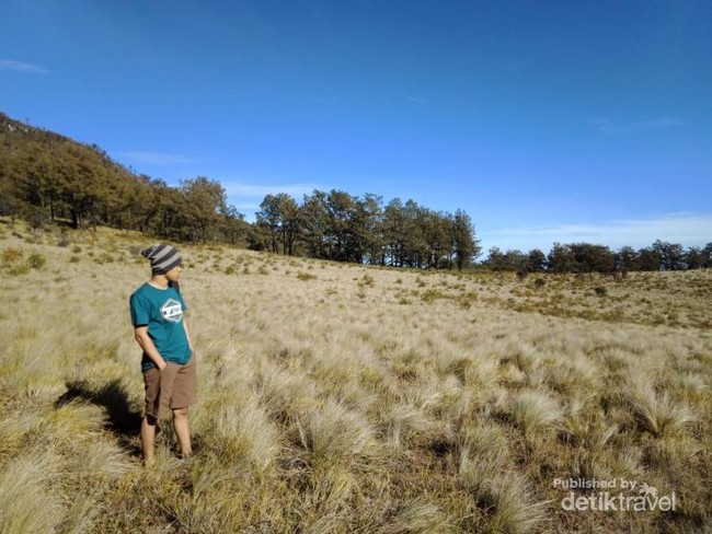 Potret Pendakian Gunung Lawu Via Candi Cetho