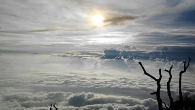 Potret Pendakian ke Gunung Slamet