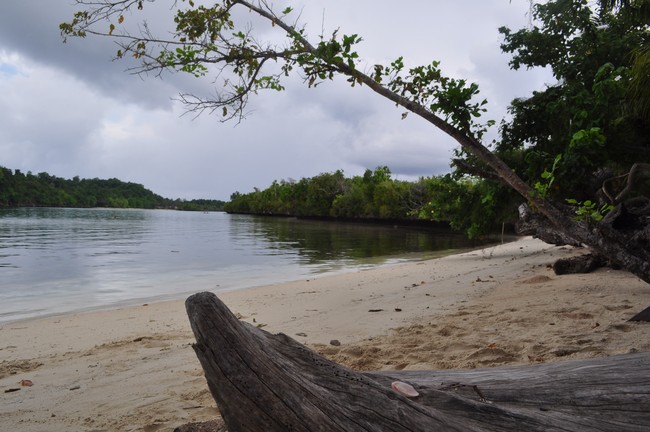 Poyalisa, Si Perawan dari Sulawesi Tengah