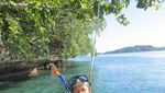 Pulau Friwen, Surganya Panorama Bawah Laut Raja Ampat