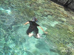 Pulau Friwen, Surganya Panorama Bawah Laut Raja Ampat