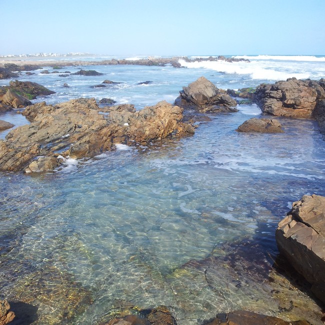 Pulau Granite, Rumah Penguin Peri di Australia