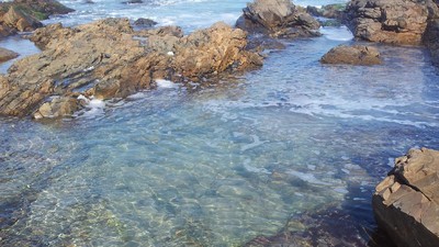 Pulau Granite, Rumah Penguin Peri di Australia