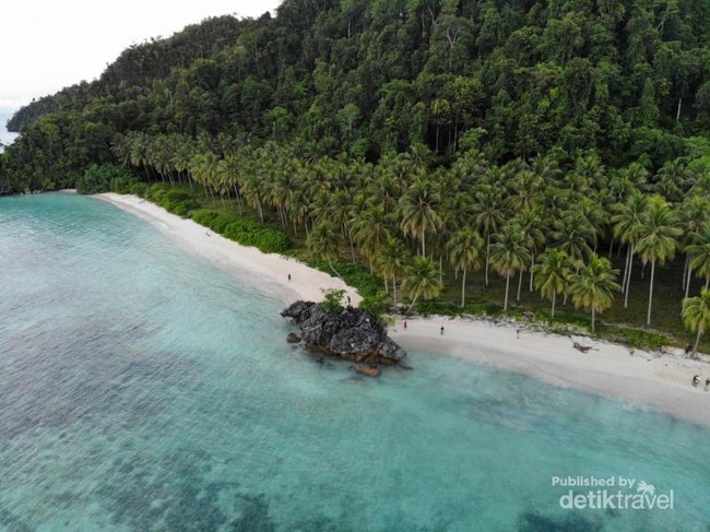 Pulau Labengki, Ini Raja Ampatnya Sulawesi