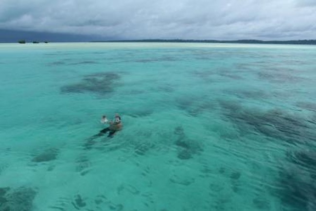 Pulau Maratua, Bawah Lautnya Juara!