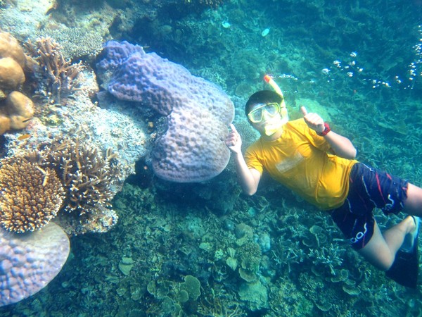 Snorkeling di Pulau Pari