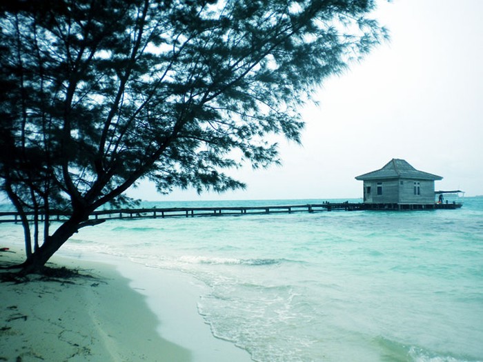 Pulau Smackdown (Semak Daun)