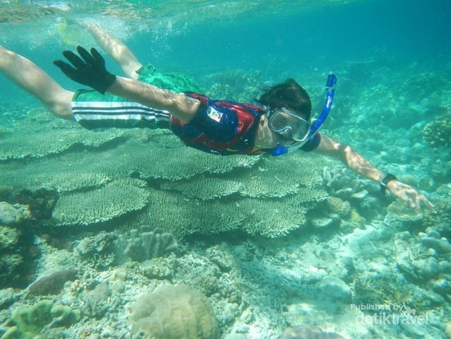 Pulau yang Asyik Buat Snorkeling di Raja Ampat