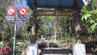 Puncak Gunung yang Hijau di Kota Bunga