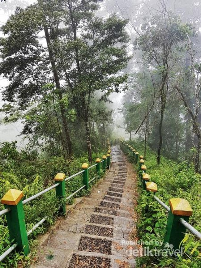 Puncak Suroloyo, Tempat Tenang dan Sejuk di Kulonprogo