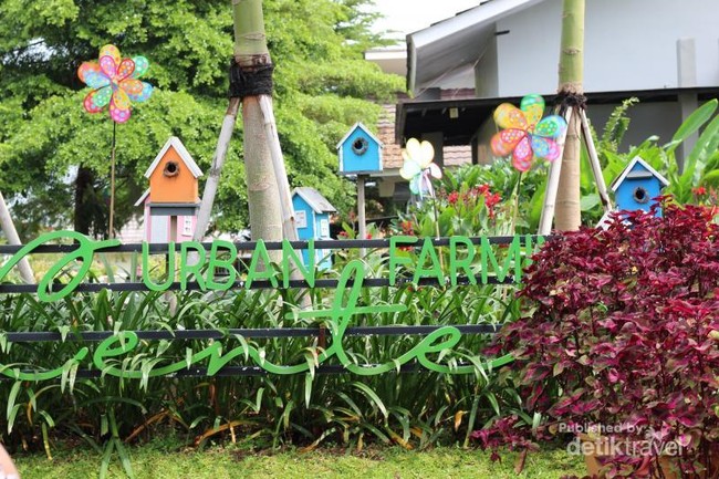Pusat Pelatihan Pertanian Bisa Secantik Ini