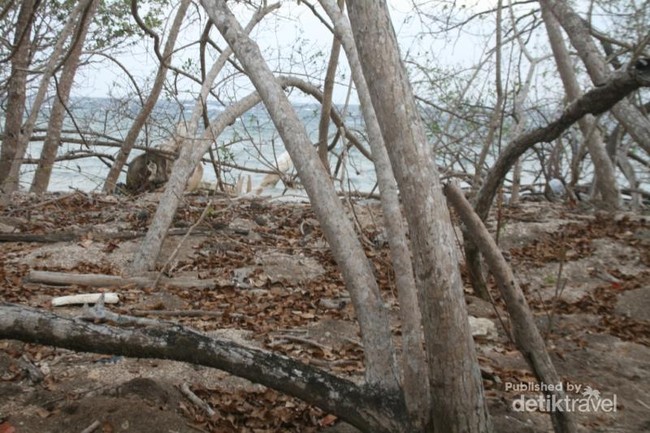 Ramahnya Penduduk Pulau Moyo