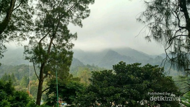 Rileks Sejenak di Kebun Raya Cibodas