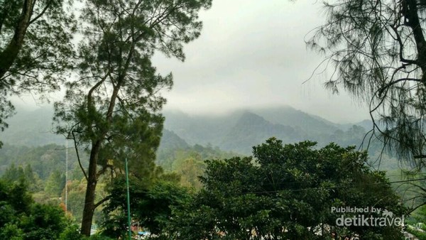 Rileks Sejenak di Kebun Raya Cibodas