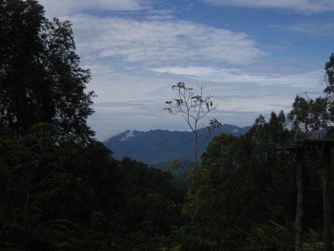 Ritual Penyambutan Tamu di Hutan Lindung Wehea
