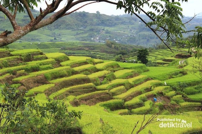 Ruteng, Surga Kecil di Flores
