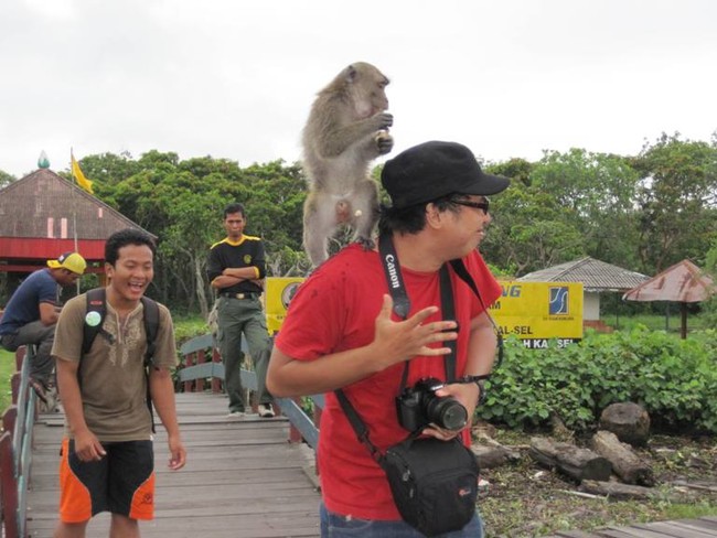 Sambutan Hangat Pulau Kembang